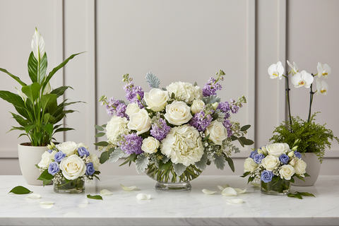 Sympathy Flowers & Funeral Arrangements | Emory Village Flowers