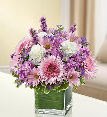 Healing Hope- Lavender
