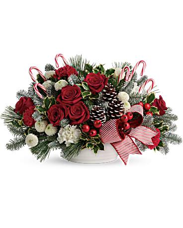 Jolly Candy Cane arranged in a classic white bowl