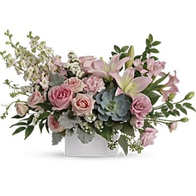 <div id="mark-3" class="m-pdp-tabs-marketing-description">Wildly sophisticated, this beautiful bouquet is a thoughtful way to say "hello" to your someone special! Its artisanal mix of soft pink blooms with eye-catching succulents and green looks fresh and modern in a square white vase.</div>
<div id="desc-3">
<ul>
 	<li>This feminine bouquet includes light pink spray roses, light pink asiatic lilies, pink alstroemeria, pink carnations, pink larkspur, white sinuata statice, dusty miller, israeli ruscus, huckleberry, seeded eucalyptus, lemon leaf, and a large green potted echeveria succulent.</li>
 	<li>Delivered in a white square vase.</li>
</ul>
</div>