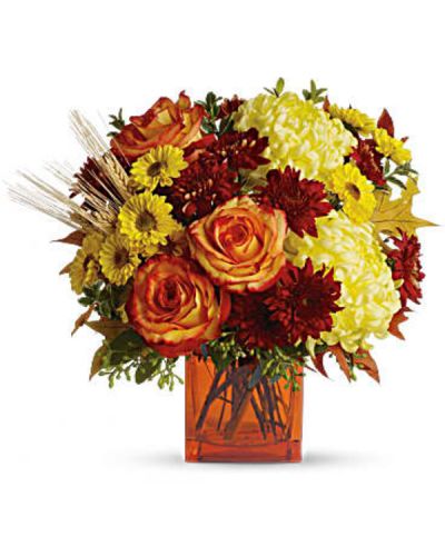 Bring a bright contemporary touch to this glorious season with a chic fall bouquet in a stylish orange cube vase. Subtly sensational, it's a great gift for faraway friends.
The stylish contemporary arrangement includes yellow cushion spray chrysanthemums, bi-color orange roses, rust cushion spray chrysanthemums, yellow disbud chrysanthemum and yellow Viking spray chrysanthemums accented with assorted greenery.