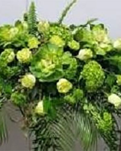 <ul id="prodDetailDelivery">
<li><span style="color: red;"><b>Local Delivery Only</b></span></li>
</ul>