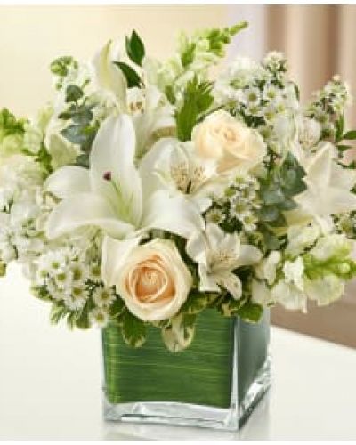 This all-white arrangement of roses, lilies, snapdragons, monte casino, stock and alstroemeria is accented with variegated pittosporum, myrtle and spiral eucalyptus and artistically designed by our florists in a classic glass cube vase lined with a Ti leaf ribbon.