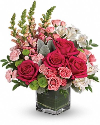 <div class="m-pdp-tabs-description">
<div id="mark-3" class="m-pdp-tabs-marketing-description">Fun and feminine, this hot pink bouquet is reminiscent of a spring garden party with friends! Stunning roses, delicate alstroemeria and dramatic snapdragons are hand-delivered in a classic cube vase lined with a green leaf - a surprise gift that'll touch her heart, no matter the occasion.</div>
</div>
<p id="arrngDescp">Hot pink roses, pink spray roses, white alstroemeria, pink miniature carnations, green button spray chrysanthemums and pink snapdragons are arranged with dusty miller, huckleberry and variegated aspidistra leaf. Delivered in a clear cube vase.</p>