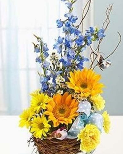 <p>Capture their inner nesting instinct with this Welcome to the World Arrangement sure to delight the new parents. A charming bird's nest basket is filled with a beautiful baby blue and yellow-themed arrangement of delphinium, sunflowers, carnations and daisy poms. This arrangement comes accented with a beautiful blue polka dot ribbon and a pair of playful bird picks.</p>