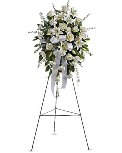 <div id="mark-1" class="m-pdp-tabs-marketing-description">Stunning in its simplicity, this gorgeous spray of white roses, lilies and carnations decorated with white satin ribbon is a tasteful way to express your sympathy.</div>
<div id="desc-1">
<ul>
 	<li>The elegant spray includes white roses, white Asiatic lilies and white carnations, accented with assorted greenery.</li>
</ul>
</div>