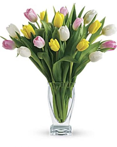 <p>Blooms this beautiful don't need decoration!</p>
<p>Twenty-one tantalizing tulips in soft spring colors make a thrilling thank you gift or sweet and innocent reminder of your love or friendship.</p>