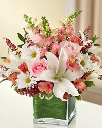 <p>This elegant pink and white arrangement is gathered in a lovely cube vase the elegant arrangement includes fresh pink roses, pink snapdragons, white lilies, pink alstroemeria, white daisy poms and pink heather are accented with variegated pittosporum and myrtle.</p>