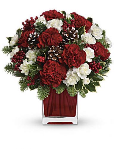 Make them merry with this sweet bouquet! Red carnations and white carnations are beautifully presented in our bright red glass cube.
<ul>
 	<li>Red carnations and white miniature carnations are accented with tips of noble fir, white pine, holly and assorted greens.</li>
</ul>