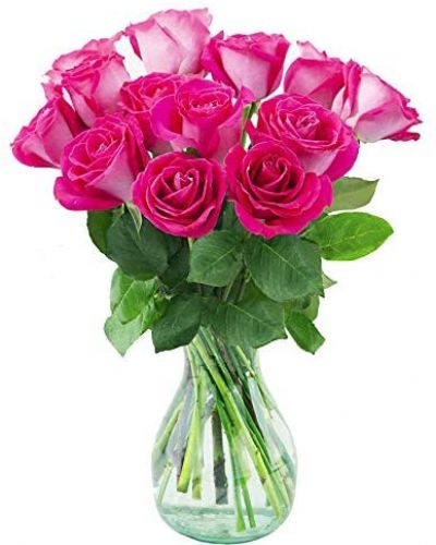 Your Love & Devotion delivered. Surprise your special one with this gorgeous arrangement of hot pink roses available in one dozen. 18 roses or two dozen wonderful blooms.

It’s an unforgettable display of your timeless love that they'll always remember.
