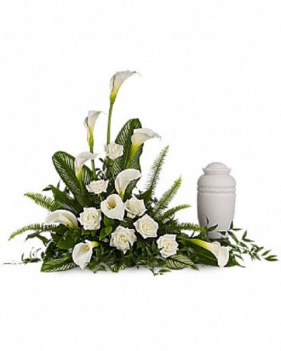 <div class="m-pdp-tabs-description">
<div id="mark-1" class="m-pdp-tabs-marketing-description">A calming portrait in ivory. Majestic calla lilies and stately white roses are framed by the lush leaves of aspidistra and calathea. Soft green sword fern adds to the soothing tones.</div>
</div>
<p id="arrngDescp">Large white calla lilies pair with white roses and lush greens that include soft, airy sword fern and glossy aspidistra. Please note: Arrangement does not include urn.</p>