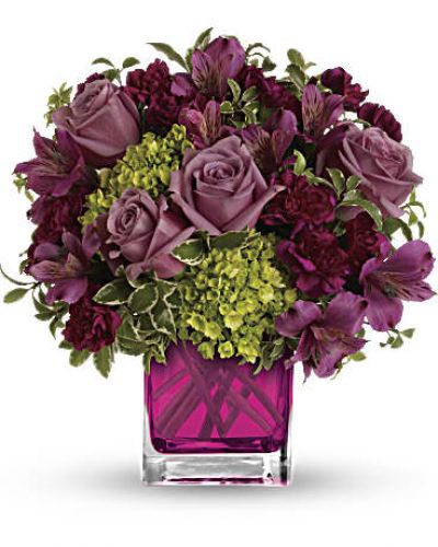 <div id="mark-3" class="m-pdp-tabs-marketing-description">Lovely at first sight. Green miniature hydrangea and lavender roses come together for an extra-sweet bouquet presented in our fuchsia glass cube.</div>
&nbsp;
<div id="desc-3">
<ul>
 	<li>Green miniature hydrangea, lavender roses, purple alstroemeria and maroon miniature carnations accented with greens.</li>
</ul>
</div>