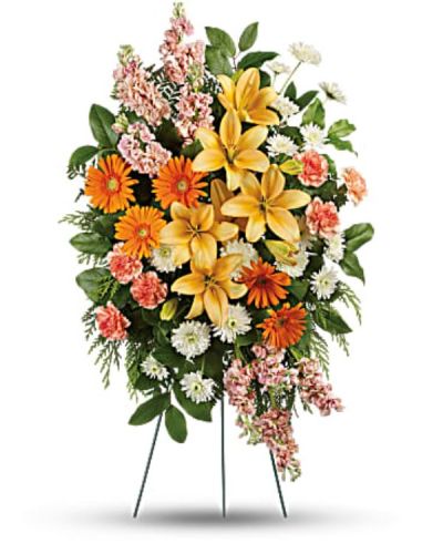 <div id="mark-1" class="m-pdp-tabs-marketing-description">Celebrate the light they brought into your life with this bright, beautiful spray of lilies and gerberas in sunshiny shades of peach and orange. A truly uplifting addition to the memorial service.</div>
<div id="desc-1">
<ul>
<li>This glorious spray includes peach asiatic lilies, orange gerberas, orange carnations, peach stock and white cushion spray chrysanthemums, accented with flat cedar, leatherleaf fern and lemon leaf.</li>
</ul>
</div>