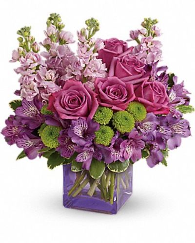 <div class="m-pdp-tabs-description">
<div id="mark-3" class="m-pdp-tabs-marketing-description">Sweet as can be! Hand-delivered in a chic lavender cube, this marvelous mix of jewel toned blooms is a touching way to celebrate someone special on their birthday or any day.</div>
</div>
<p id="arrngDescp">Lavender roses, purple alstroemeria, light pink stock and green button spray chrysanthemums are accented with variegated pittosporum. Delivered in a lavender cube vase.</p>