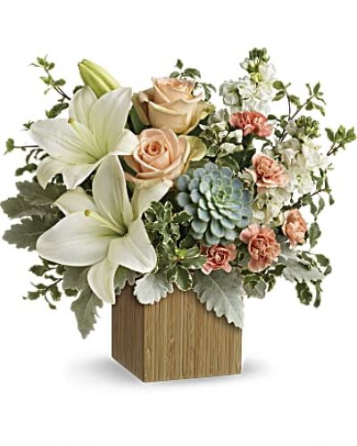 <div id="mark-3" class="m-pdp-tabs-marketing-description">Reminiscent of a desert sunrise, this modern mix of peach blooms, white lilies and succulents is a super chic statement in a natural bamboo cube.</div>
Peach roses, white asiatic lilies, peach miniature carnations, and white stock are accented with pitta negra, dusty miller, and a green echeveria succulent.