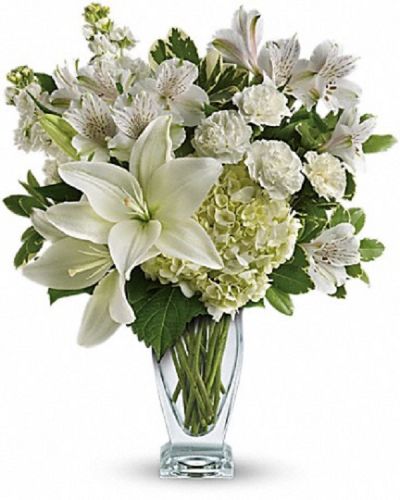 <div class="m-pdp-tabs-description">
<div id="mark-1" class="m-pdp-tabs-marketing-description">Who's the fairest of them all? This snow-white bouquet. A stunning statement of your purest love, this mix of hydrangea and lilies in a Couture vase will take their heart away.</div>
</div>
<p id="arrngDescp">This snow-white bouquet includes hydrangea, asiatic lilies, alstroemeria, miniature carnations, stock and fresh green pittosporum.</p>