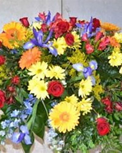 <ul id="prodDetailDelivery">
<li><span style="color: red;"><b>Local Delivery Only</b></span></li>
</ul>