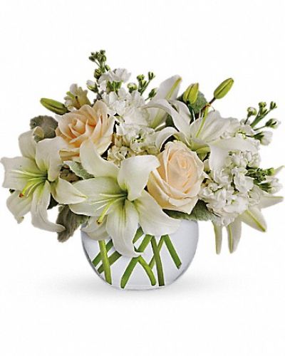 <div class="m-pdp-tabs-description">
<div id="mark-1" class="m-pdp-tabs-marketing-description">Like a vacation for the senses, this lovely bouquet delivers an oasis of beauty and elegance. Soothing, serene and very special.</div>
</div>
<p id="arrngDescp">Crème roses, white asiatic lilies and stock stem are incredibly arranged in a bubble vase. When it comes to bouquets, this is definitely the right way to do white.</p>